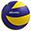 Pallavolo